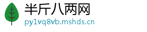 半斤八两网